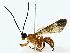  ( - BIOUG85514-A05)  @11 [ ] CreativeCommons - Attribution (2022) CBG Photography Group Centre for Biodiversity Genomics