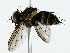  ( - BIOUG85514-H07)  @11 [ ] CreativeCommons - Attribution (2022) CBG Photography Group Centre for Biodiversity Genomics