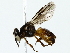  ( - BIOUG85515-C07)  @11 [ ] CreativeCommons - Attribution (2022) CBG Photography Group Centre for Biodiversity Genomics