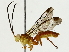  ( - BIOUG85515-D02)  @11 [ ] CreativeCommons - Attribution (2022) CBG Photography Group Centre for Biodiversity Genomics