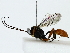  ( - BIOUG85515-D11)  @11 [ ] CreativeCommons - Attribution (2022) CBG Photography Group Centre for Biodiversity Genomics