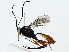  ( - BIOUG85515-E10)  @11 [ ] CreativeCommons - Attribution (2022) CBG Photography Group Centre for Biodiversity Genomics