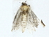 ( - BIOUG85516-C09)  @11 [ ] CreativeCommons - Attribution (2022) CBG Photography Group Centre for Biodiversity Genomics