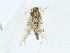  ( - BIOUG85516-C10)  @11 [ ] CreativeCommons - Attribution (2022) CBG Photography Group Centre for Biodiversity Genomics