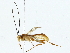  ( - BIOUG89981-D05)  @11 [ ] CreativeCommons - Attribution (2022) CBG Photography Group Centre for Biodiversity Genomics