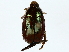  ( - BIOUG89982-B07)  @13 [ ] CreativeCommons - Attribution (2022) CBG Photography Group Centre for Biodiversity Genomics