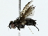  ( - BIOUG89982-E04)  @11 [ ] CreativeCommons - Attribution (2022) CBG Photography Group Centre for Biodiversity Genomics