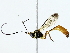  ( - BIOUG89982-F05)  @11 [ ] CreativeCommons - Attribution (2022) CBG Photography Group Centre for Biodiversity Genomics