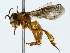  ( - BIOUG89982-F10)  @11 [ ] CreativeCommons - Attribution (2022) CBG Photography Group Centre for Biodiversity Genomics