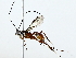  ( - BIOUG89982-G06)  @11 [ ] CreativeCommons - Attribution (2022) CBG Photography Group Centre for Biodiversity Genomics