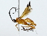 ( - BIOUG89982-G10)  @11 [ ] CreativeCommons - Attribution (2022) CBG Photography Group Centre for Biodiversity Genomics