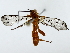  ( - BIOUG89982-G12)  @11 [ ] CreativeCommons - Attribution (2022) CBG Photography Group Centre for Biodiversity Genomics