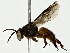  ( - BIOUG89983-A01)  @11 [ ] CreativeCommons - Attribution (2022) CBG Photography Group Centre for Biodiversity Genomics