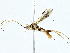  ( - BIOUG89983-A04)  @11 [ ] CreativeCommons - Attribution (2022) CBG Photography Group Centre for Biodiversity Genomics