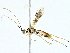  ( - BIOUG89983-A05)  @11 [ ] CreativeCommons - Attribution (2022) CBG Photography Group Centre for Biodiversity Genomics