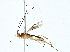  ( - BIOUG89983-A06)  @11 [ ] CreativeCommons - Attribution (2022) CBG Photography Group Centre for Biodiversity Genomics