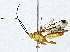  ( - BIOUG89983-A12)  @11 [ ] CreativeCommons - Attribution (2022) CBG Photography Group Centre for Biodiversity Genomics