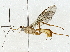  ( - BIOUG89983-B01)  @11 [ ] CreativeCommons - Attribution (2022) CBG Photography Group Centre for Biodiversity Genomics