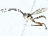  ( - BIOUG89983-B06)  @11 [ ] CreativeCommons - Attribution (2022) CBG Photography Group Centre for Biodiversity Genomics