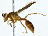  ( - BIOUG89996-C04)  @11 [ ] CreativeCommons - Attribution (2022) CBG Photography Group Centre for Biodiversity Genomics