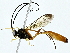  ( - BIOUG89996-C07)  @11 [ ] CreativeCommons - Attribution (2022) CBG Photography Group Centre for Biodiversity Genomics