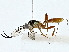 ( - BIOUG89996-C10)  @11 [ ] CreativeCommons - Attribution (2022) CBG Photography Group Centre for Biodiversity Genomics