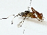  ( - BIOUG89996-E04)  @11 [ ] CreativeCommons - Attribution (2022) CBG Photography Group Centre for Biodiversity Genomics