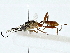  ( - BIOUG89996-E09)  @11 [ ] CreativeCommons - Attribution (2022) CBG Photography Group Centre for Biodiversity Genomics