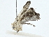  ( - BIOUG89997-E08)  @11 [ ] CreativeCommons - Attribution (2022) CBG Photography Group Centre for Biodiversity Genomics