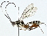  ( - BIOUG89998-C06)  @11 [ ] CreativeCommons - Attribution (2022) CBG Photography Group Centre for Biodiversity Genomics