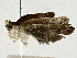  ( - BIOUG89998-H03)  @11 [ ] CreativeCommons - Attribution (2022) CBG Photography Group Centre for Biodiversity Genomics