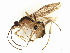  ( - BIOUG90822-G02)  @11 [ ] CreativeCommons - Attribution Share - Alike (2024) CBG Photography Group Centre for Biodiversity Genomics