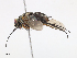  ( - CBG-A08769-G05)  @11 [ ] CreativeCommons - Attribution Share - Alike (2023) CBG Photography Group Centre for Biodiversity Genomics
