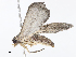  ( - CBG-A08769-G11)  @11 [ ] CreativeCommons - Attribution Share - Alike (2023) CBG Photography Group Centre for Biodiversity Genomics