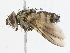  ( - CBG-A08770-B01)  @11 [ ] CreativeCommons - Attribution Share - Alike (2023) CBG Photography Group Centre for Biodiversity Genomics