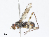  ( - CBG-A08771-B09)  @11 [ ] CreativeCommons - Attribution Share - Alike (2023) CBG Photography Group Centre for Biodiversity Genomics