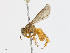  ( - CBG-A08771-C01)  @11 [ ] CreativeCommons - Attribution Share - Alike (2023) CBG Photography Group Centre for Biodiversity Genomics
