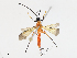  ( - CBG-A08771-F04)  @11 [ ] CreativeCommons - Attribution Share - Alike (2023) CBG Photography Group Centre for Biodiversity Genomics