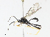  ( - CBG-A08771-F12)  @11 [ ] CreativeCommons - Attribution Share - Alike (2023) CBG Photography Group Centre for Biodiversity Genomics