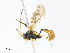  ( - CBG-A08772-D11)  @11 [ ] CreativeCommons - Attribution Share - Alike (2023) CBG Photography Group Centre for Biodiversity Genomics