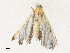  ( - CBG-A38421-C05)  @11 [ ] CreativeCommons - Attribution Share - Alike (2024) CBG Photography Group Centre for Biodiversity Genomics