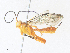  ( - CBG-A38422-E11)  @11 [ ] CreativeCommons - Attribution Share - Alike (2024) CBG Photography Group Centre for Biodiversity Genomics