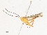  ( - CBG-A38422-F01)  @11 [ ] CreativeCommons - Attribution Share - Alike (2024) CBG Photography Group Centre for Biodiversity Genomics