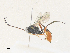  ( - CBG-A38514-D03)  @11 [ ] CreativeCommons - Attribution Share - Alike (2024) CBG Photography Group Centre for Biodiversity Genomics
