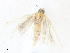  ( - CBG-A38514-G12)  @11 [ ] CreativeCommons - Attribution Share - Alike (2024) CBG Photography Group Centre for Biodiversity Genomics