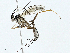  ( - BIOUG97740-A10)  @11 [ ] CreativeCommons - Attribution (2023) CBG Photography Group Centre for Biodiversity Genomics