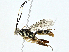  ( - BIOUG97740-D05)  @11 [ ] CreativeCommons - Attribution (2023) CBG Photography Group Centre for Biodiversity Genomics