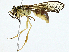 ( - BIOUG97740-F06)  @11 [ ] CreativeCommons - Attribution (2023) CBG Photography Group Centre for Biodiversity Genomics
