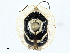  ( - BIOUG97741-C09)  @11 [ ] CreativeCommons - Attribution (2023) CBG Photography Group Centre for Biodiversity Genomics