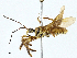  ( - BIOUG97744-E09)  @11 [ ] CreativeCommons - Attribution (2023) CBG Photography Group Centre for Biodiversity Genomics